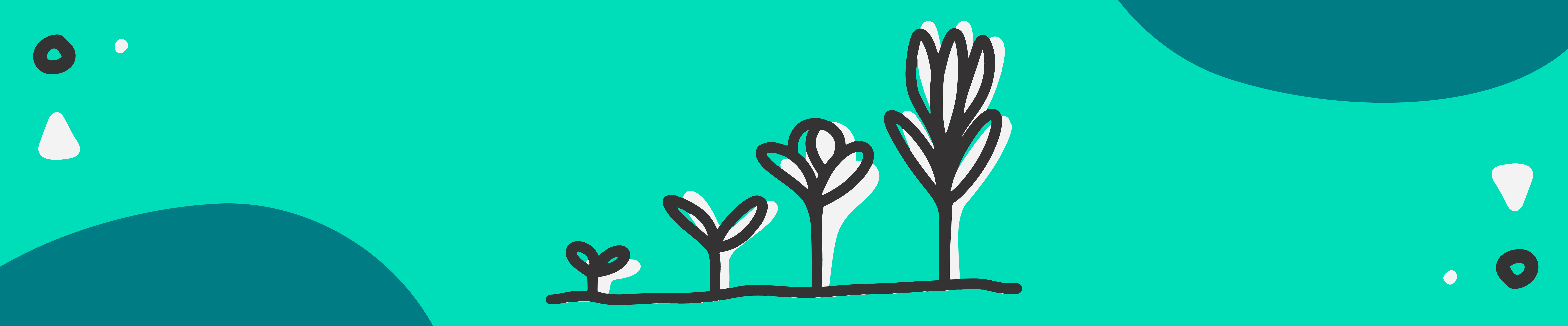 a flower growing and getting progressively bigger and stronger